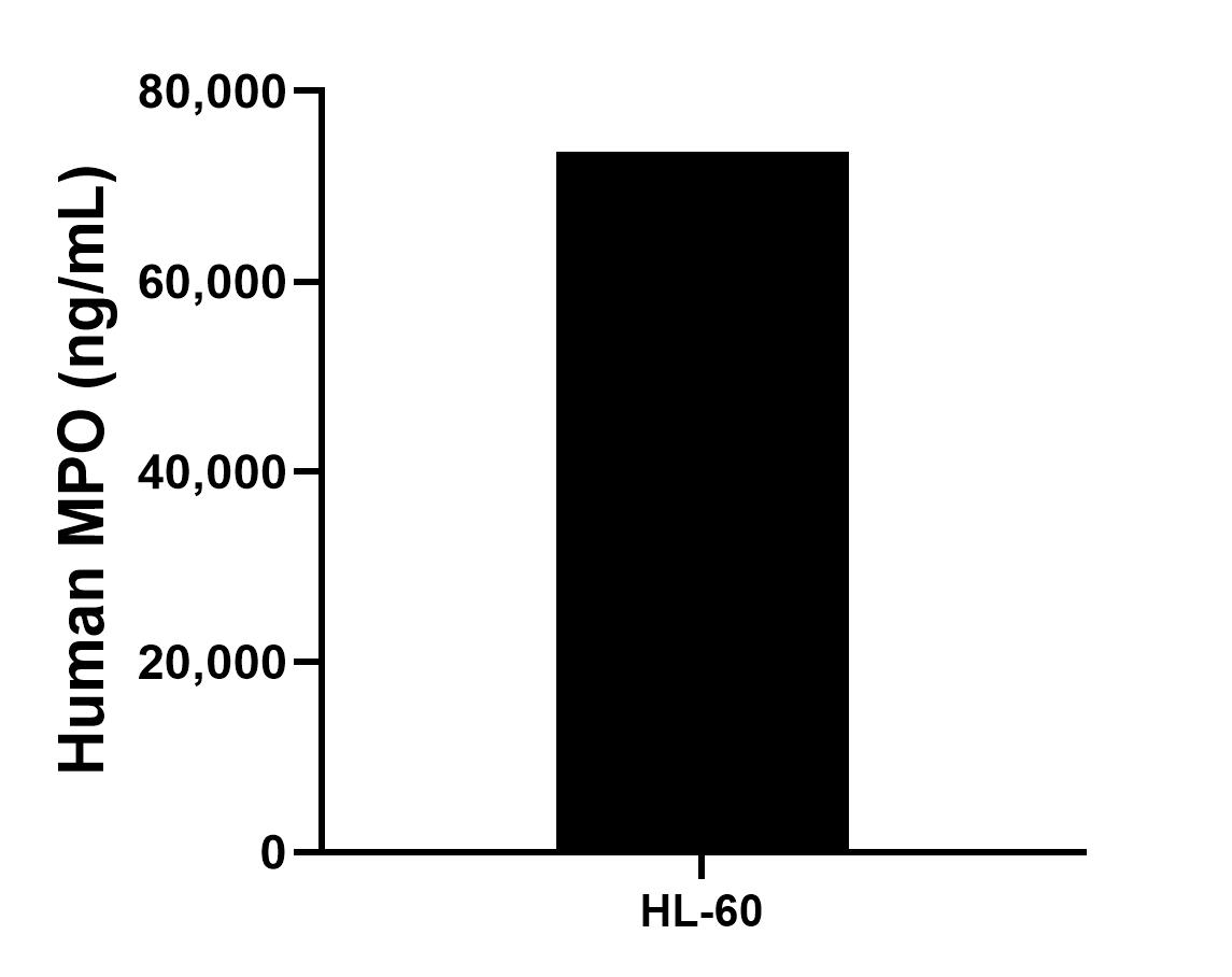 The mean MPO concentration was determined to be 73,583.3 ng/mL in HL-60 cell extract based on a 4.3 mg/mL extract load.